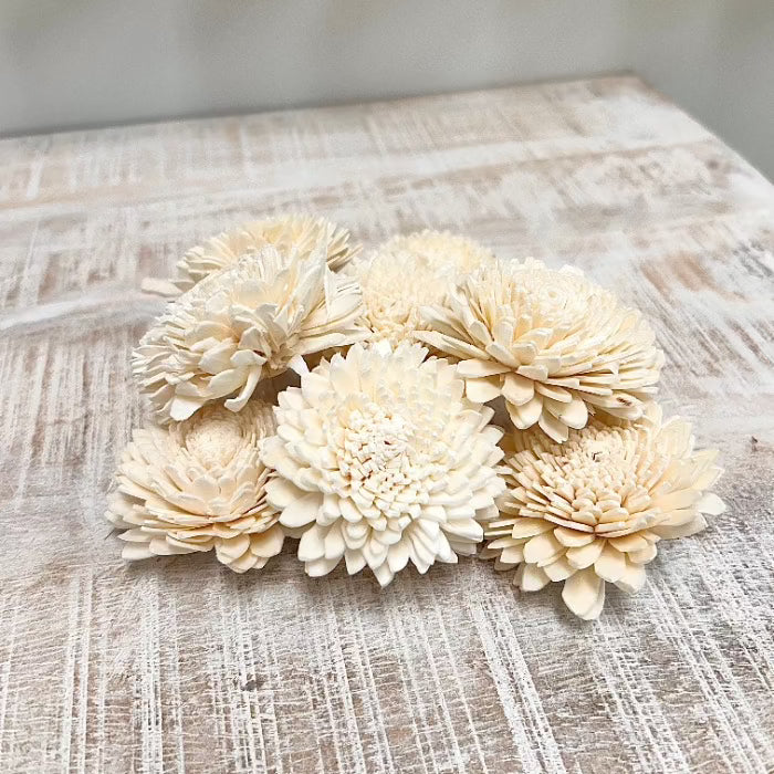 Foam Dried Zinnias Bowl Filler Sunshine & Sweet Peas Coastal Decor