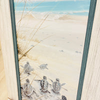 Sea Turtle Hatchlings on the Shore Framed Prints
