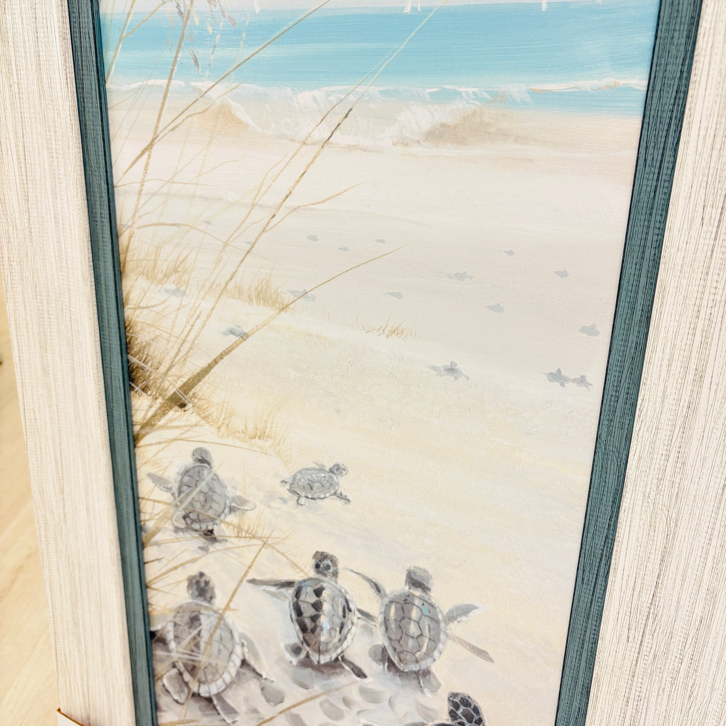 Sea Turtle Hatchlings on the Shore Framed Prints