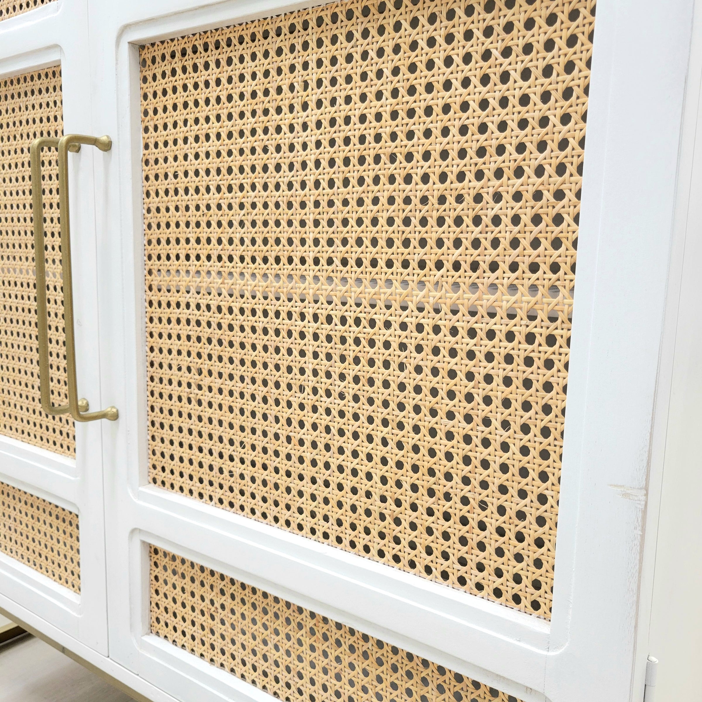 Biscayne White 2-Door Cane Cabinet