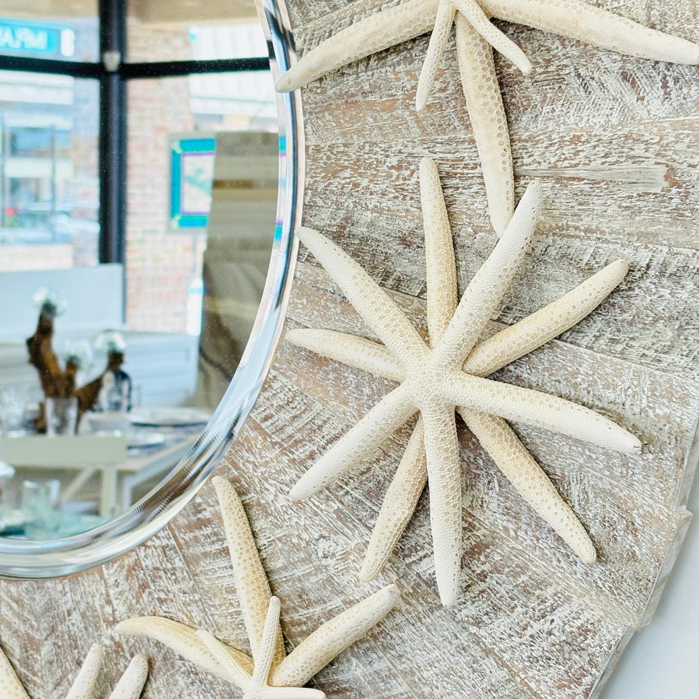 Round Plank Framed Mirror w/ Large Dried Starfish