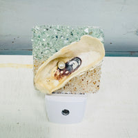 Acrylic Night Lights w/ Coastal Designs in Glass, Sand, Shells Resin