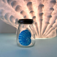 Assorted Mini Treasure Glass Jar - Sunshine & Sweet Pea's Coastal Decor