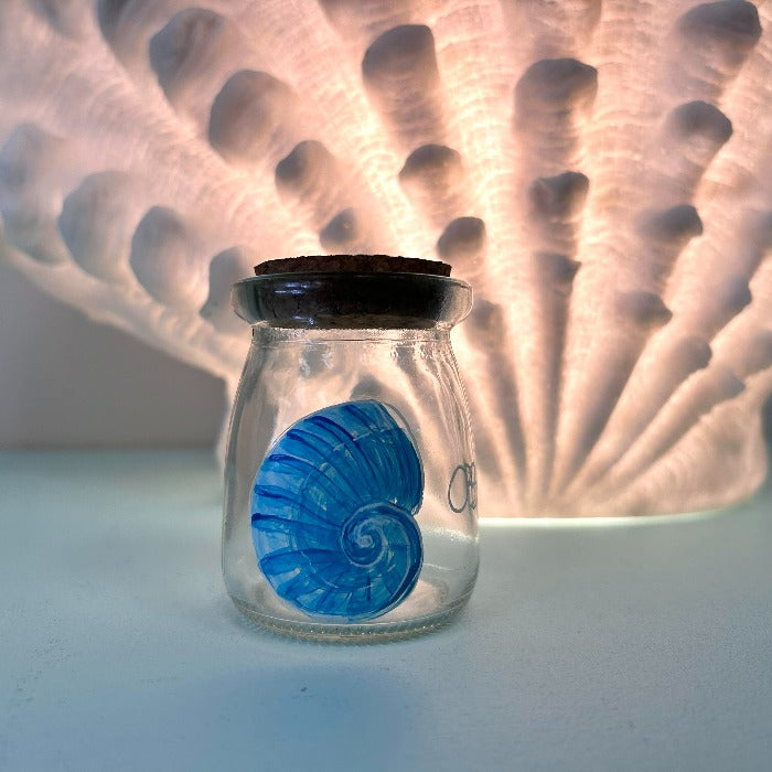 Assorted Mini Treasure Glass Jar - Sunshine & Sweet Pea's Coastal Decor