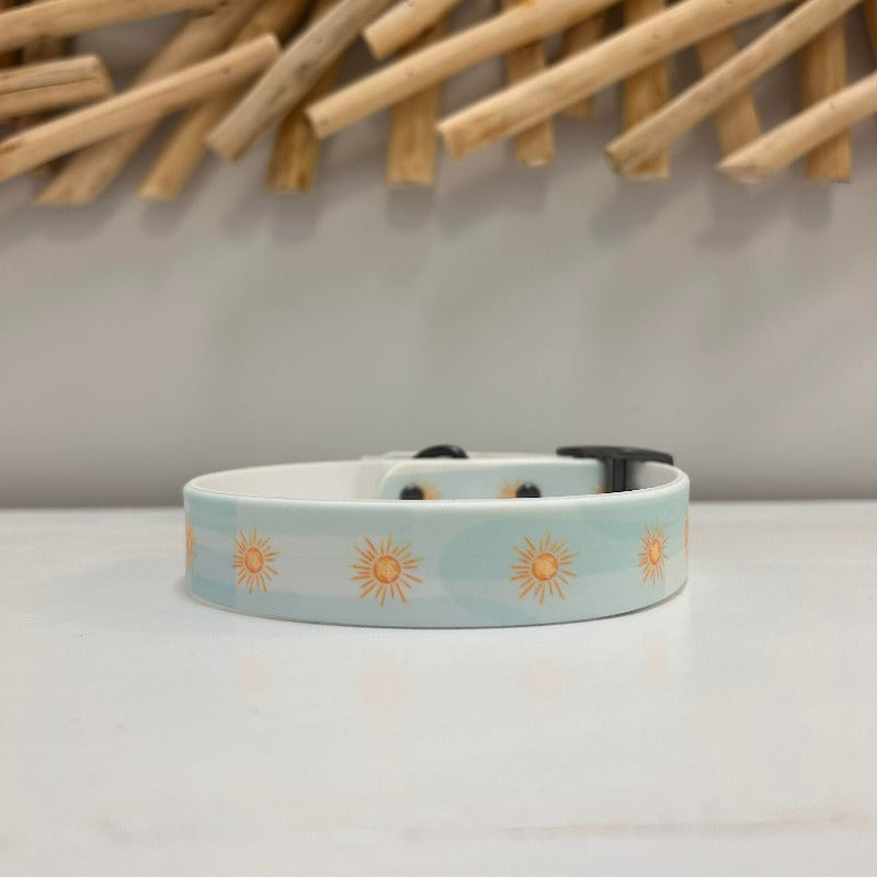 Medium Sun Dog Collar - Sunshine & Sweet Pea's Coastal Decor