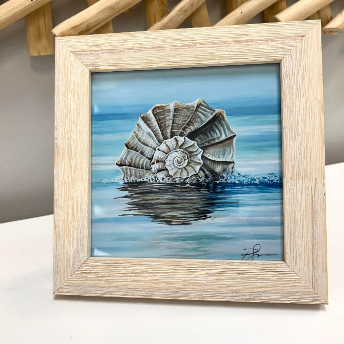 Assorted Welk Shell Prints - Sunshine & Sweet Pea's Coastal Decor