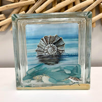 Assorted Welk Shell Prints - Sunshine & Sweet Pea's Coastal Decor