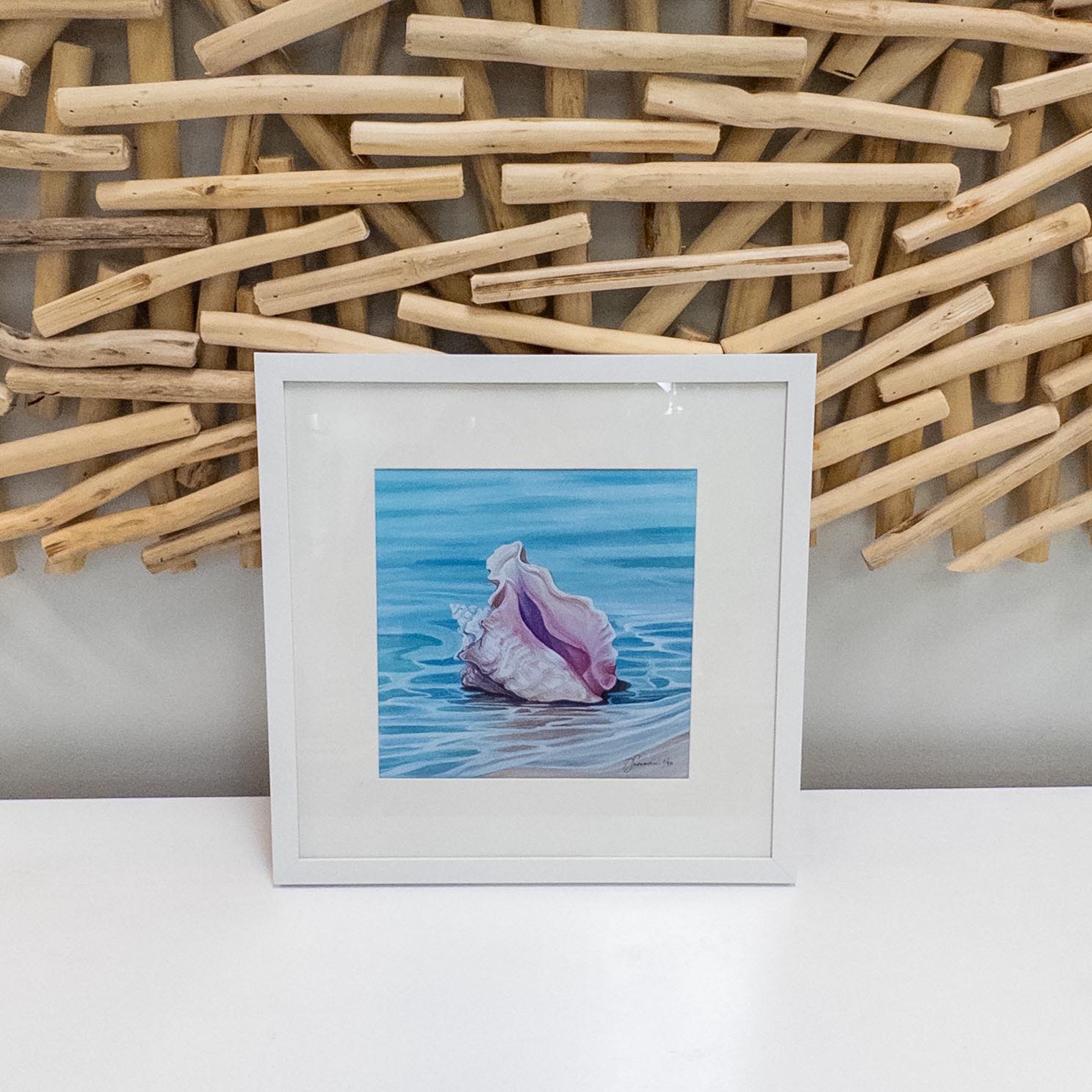 Assorted Framed Conch Shell Prints