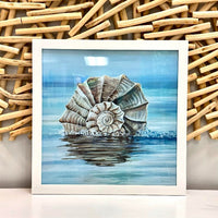 Assorted Welk Shell Prints - Sunshine & Sweet Pea's Coastal Decor