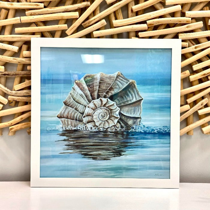 Assorted Welk Shell Prints - Sunshine & Sweet Pea's Coastal Decor