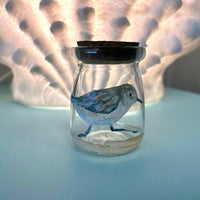 Assorted Mini Treasure Glass Jar - Sunshine & Sweet Pea's Coastal Decor