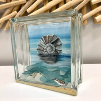 Assorted Welk Shell Prints - Sunshine & Sweet Pea's Coastal Decor