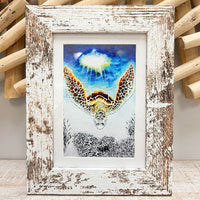 Assorted "Let The Light In" Sea Turtle Prints - Sunshine & Sweet Pea's Coastal Decor