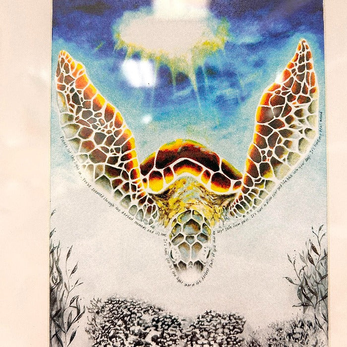 Assorted "Let The Light In" Sea Turtle Prints - Sunshine & Sweet Pea's Coastal Decor