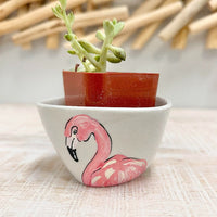 Flamingo Assorted Succulent Planters - Sunshine & Sweet Pea's Coastal Decor