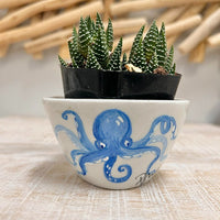 Octopus Assorted Succulent Planters - Sunshine & Sweet Pea's Coastal Decor