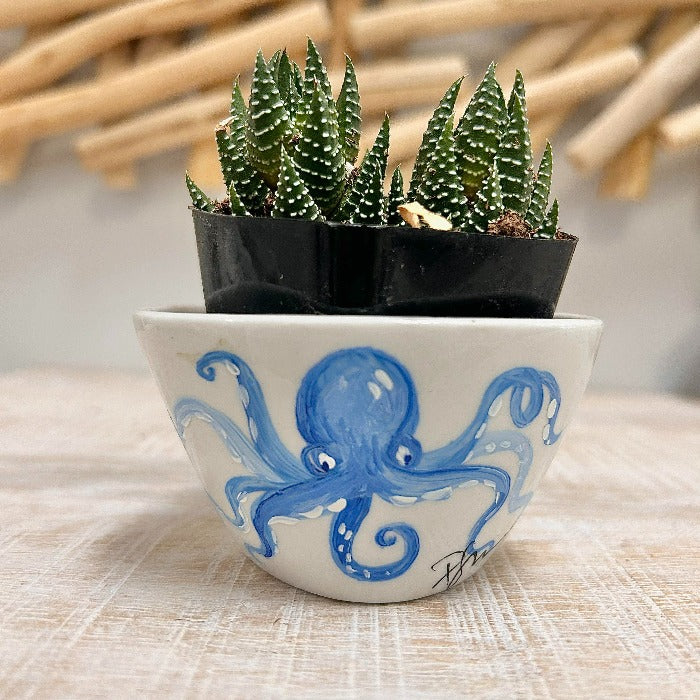Octopus Assorted Succulent Planters - Sunshine & Sweet Pea's Coastal Decor