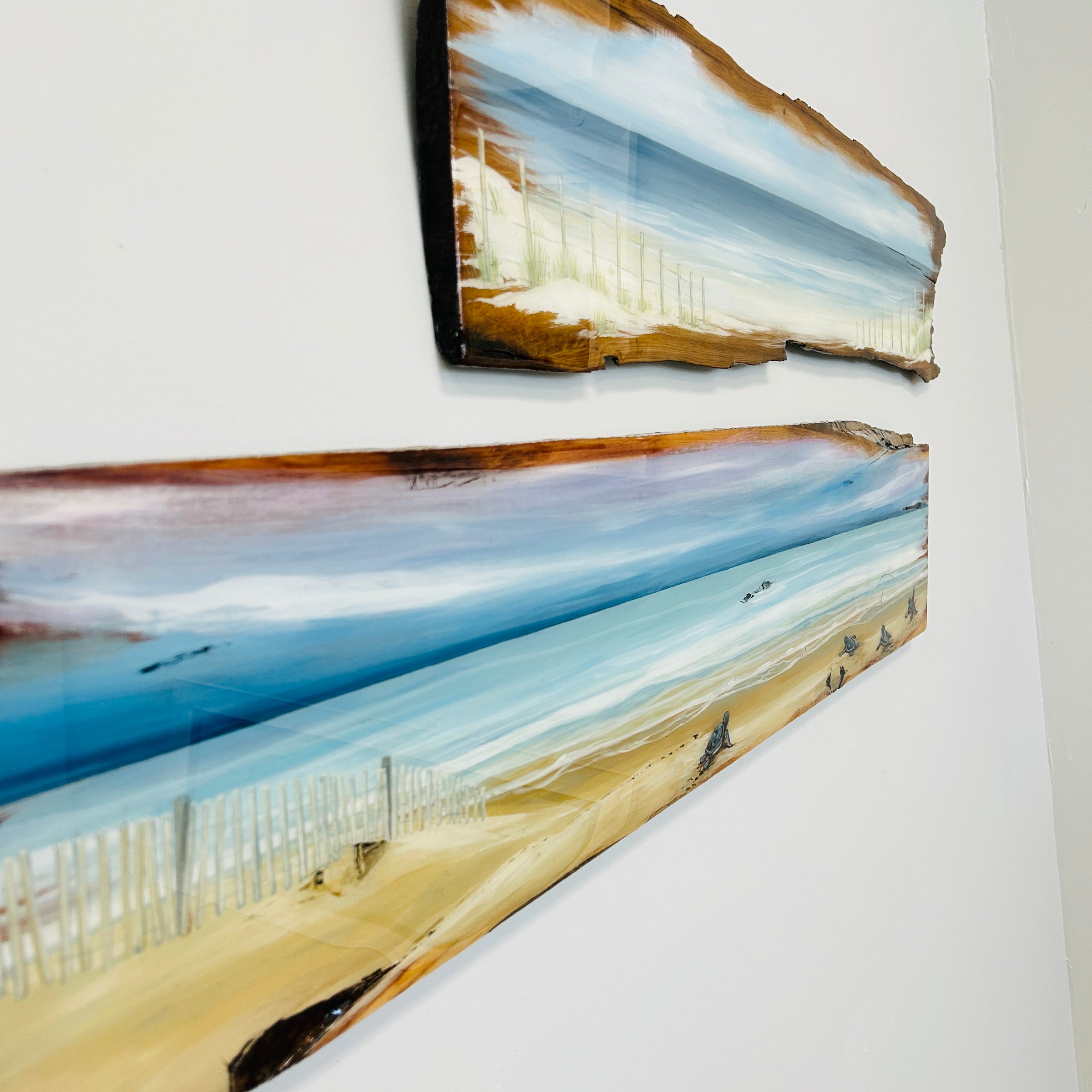 Assorted Live Edge Seascape Originial Wall Art