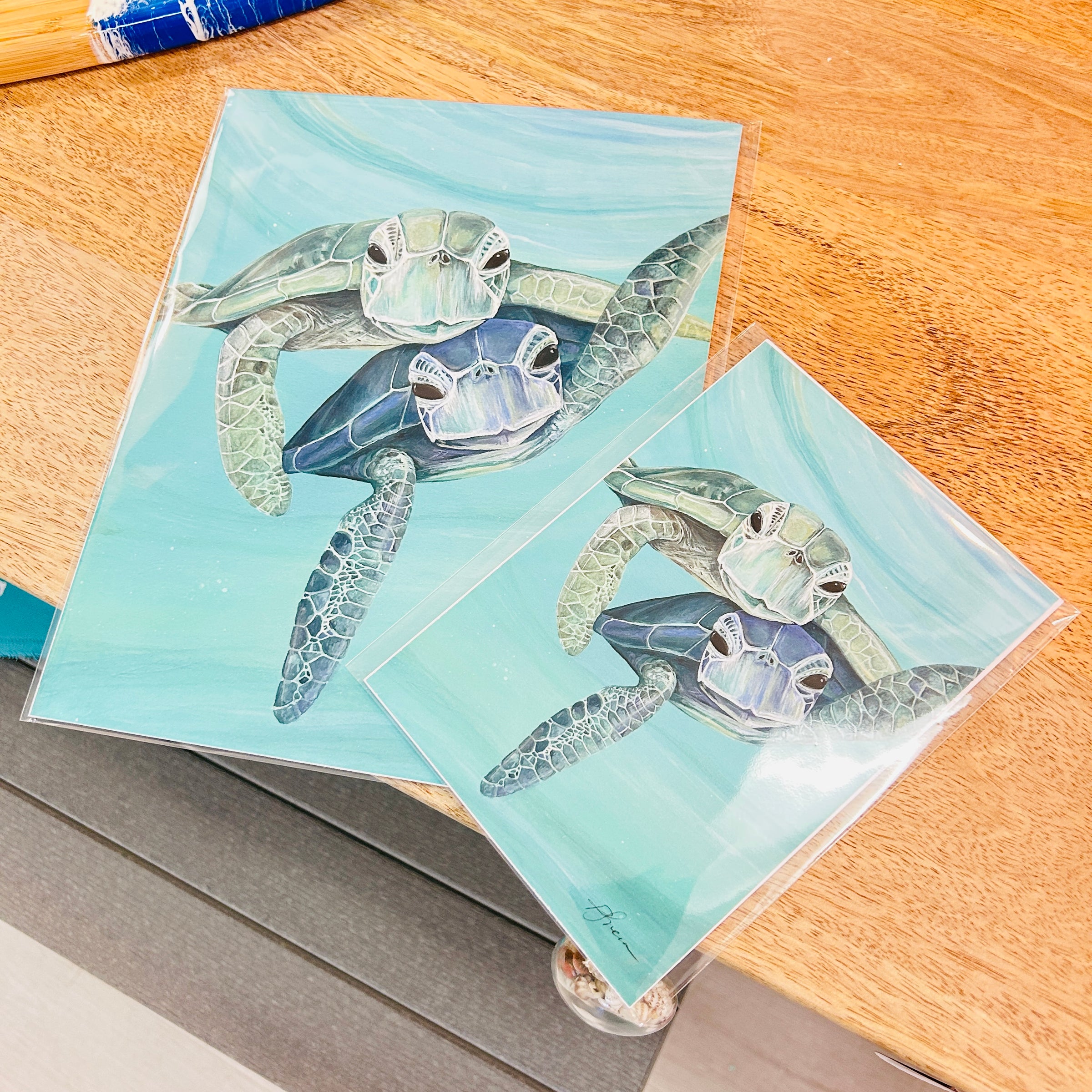 Sea Turtle Duo Assorted Prints