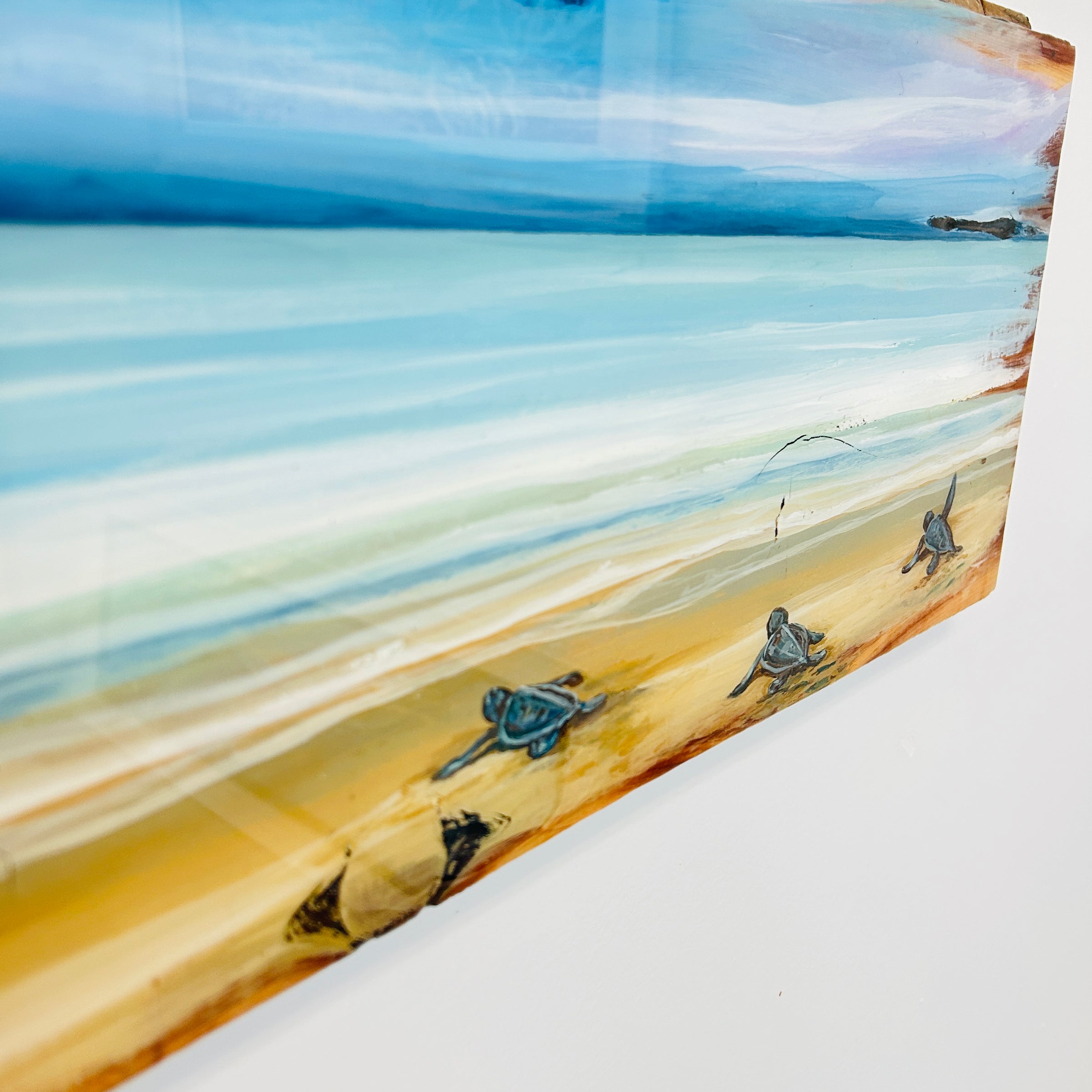 Assorted Live Edge Seascape Originial Wall Art