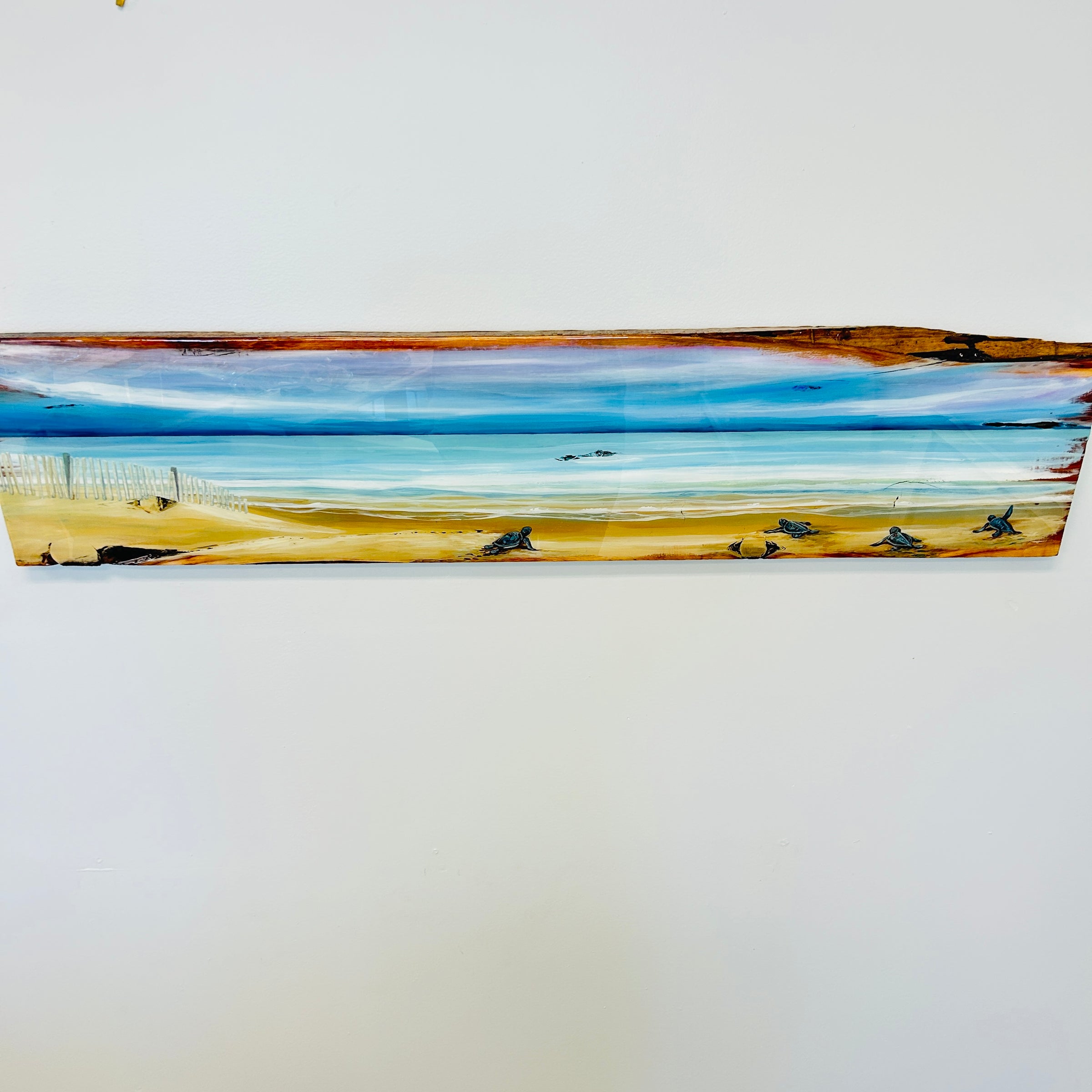 Assorted Live Edge Seascape Originial Wall Art