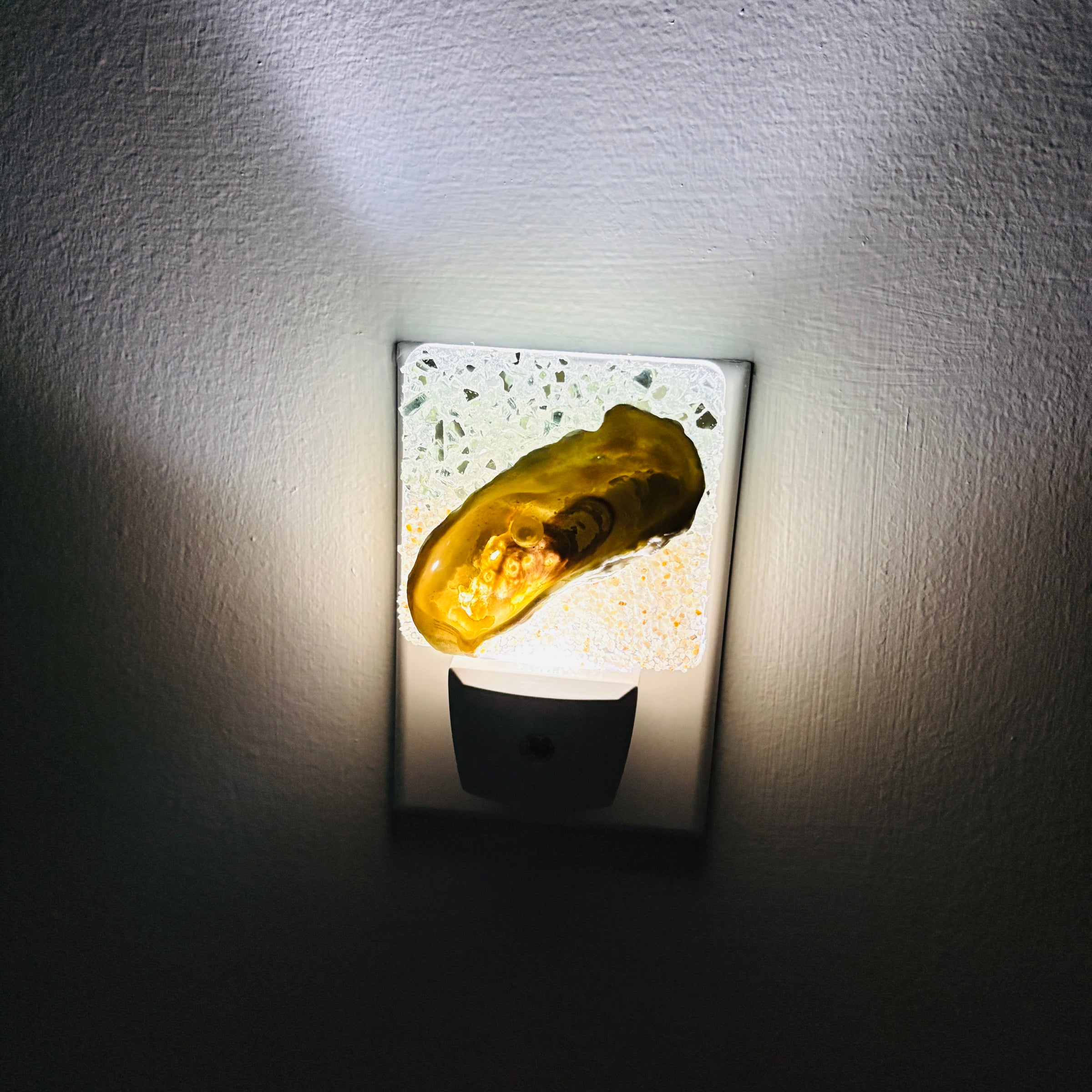 Acrylic Night Lights w/ Coastal Designs in Glass, Sand, Shells Resin