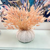 Round Sea Urchin Vase Blush Bunny Tail Arrangement Sunshine & Sweet Peas Coastal Decor