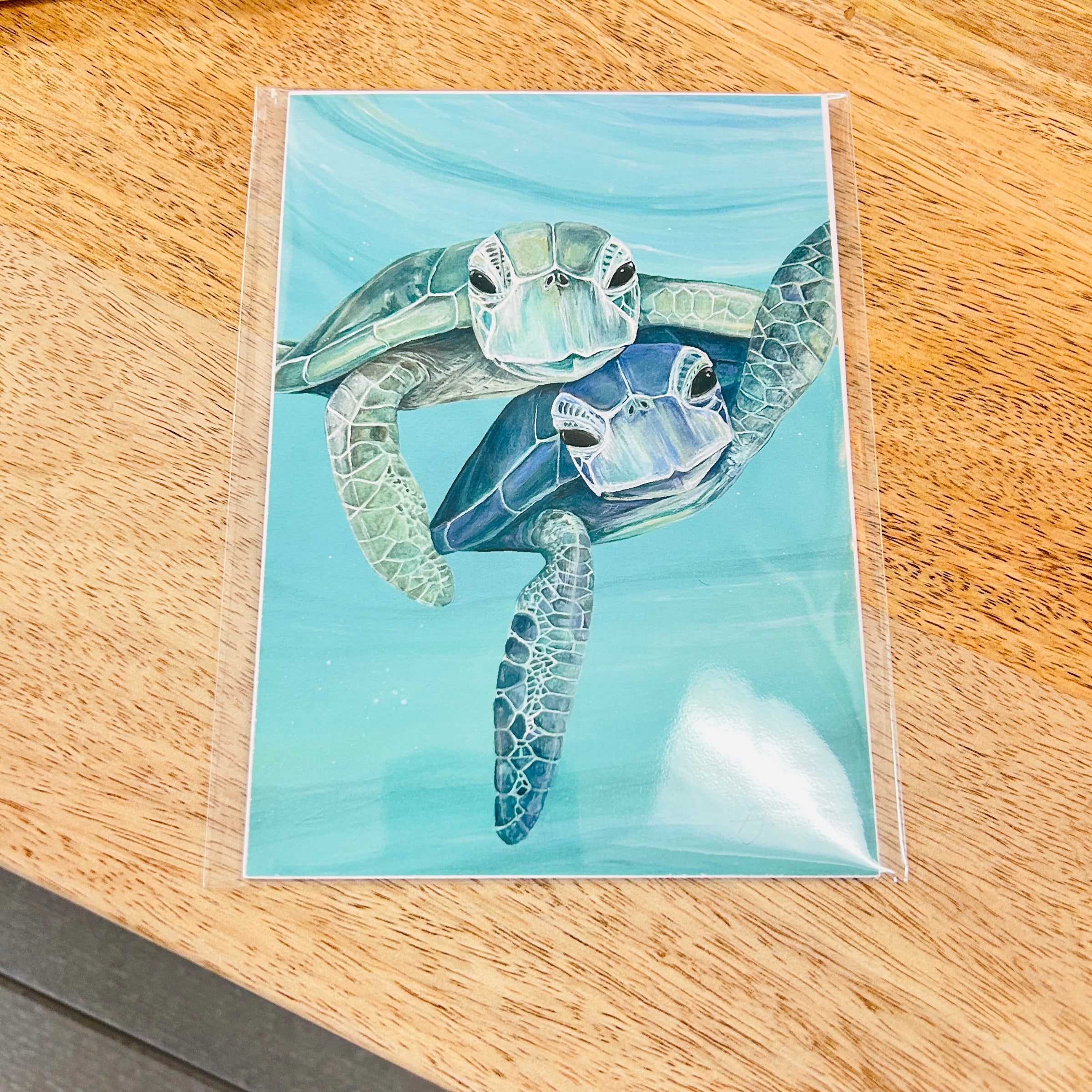 Sea Turtle Duo Assorted Prints