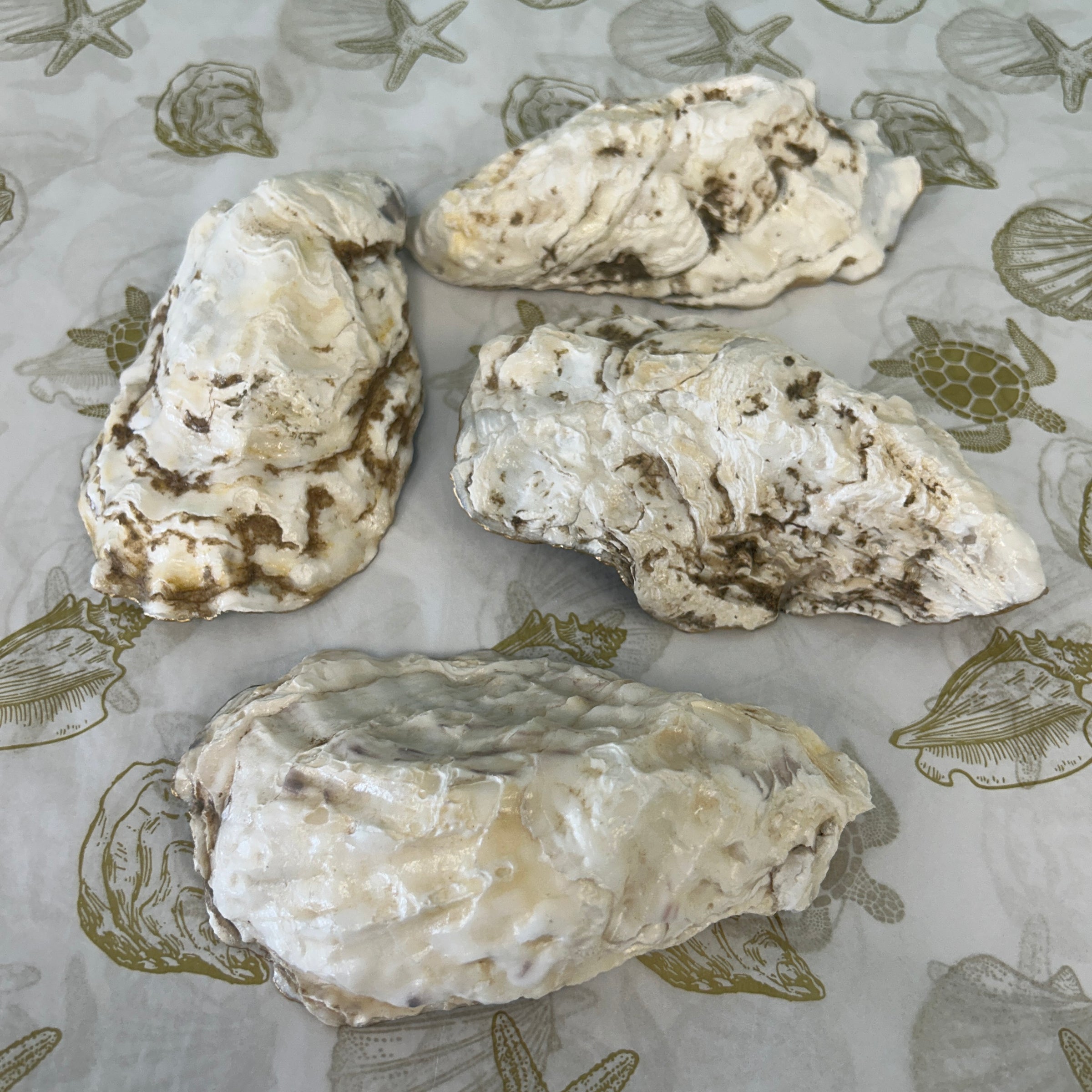 Large Oyster Shells Painted and Inlayed with Sand & Seaglass & Resin