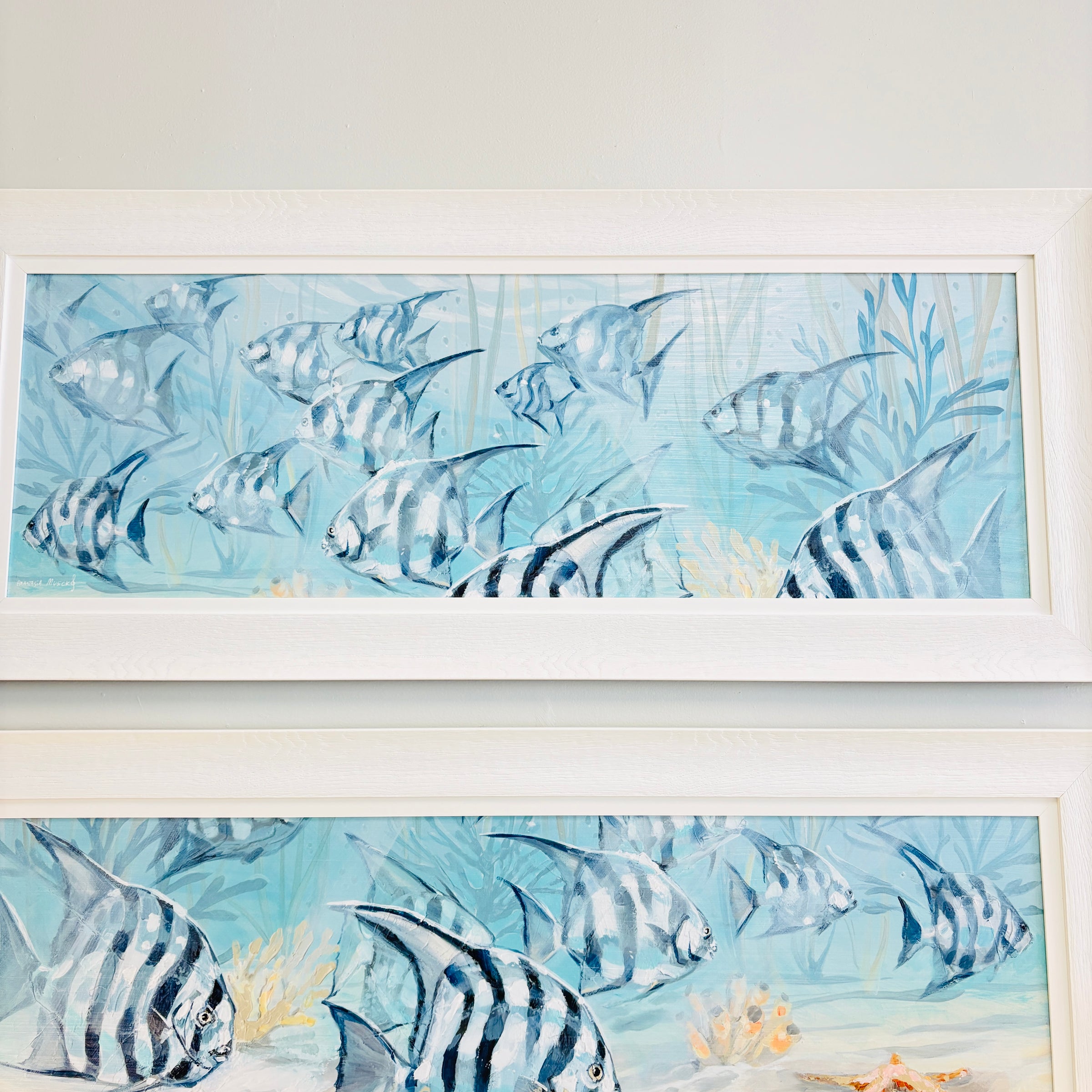 Bay Fish Framed Print