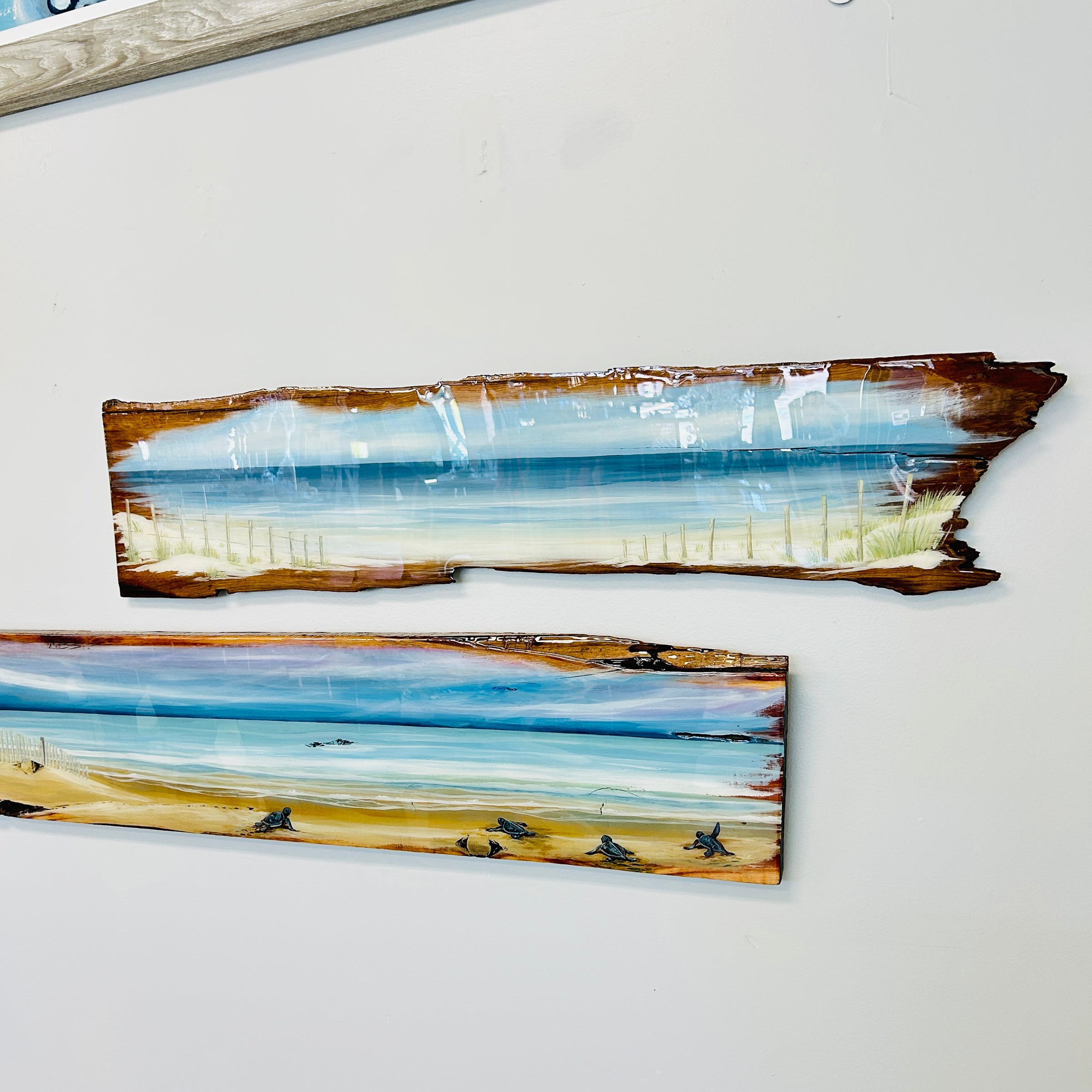 Assorted Live Edge Seascape Originial Wall Art