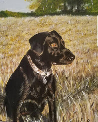 Custom Pet Portraits on Canvas w/Optional Embellishments Commission
