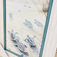 Sea Turtle Hatchlings on the Shore Framed Prints