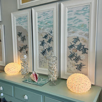 Assorted Sea Turtle Hatchlings On Shore Framed Print