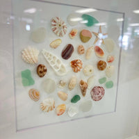 Sea Glass and Shells Shadow Box Art Sunshine & Sweet Peas Coastal Decor