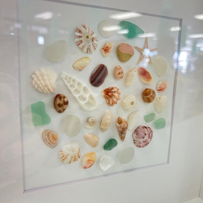 Sea Glass and Shells Shadow Box Art Sunshine & Sweet Peas Coastal Decor