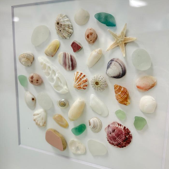 Sea Glass and Shells Shadow Box Art Sunshine & Sweet Peas Coastal Decor