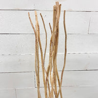 Bundle of Natural Kambooi Branches Sunshine & Sweet Peas Coastal Decor