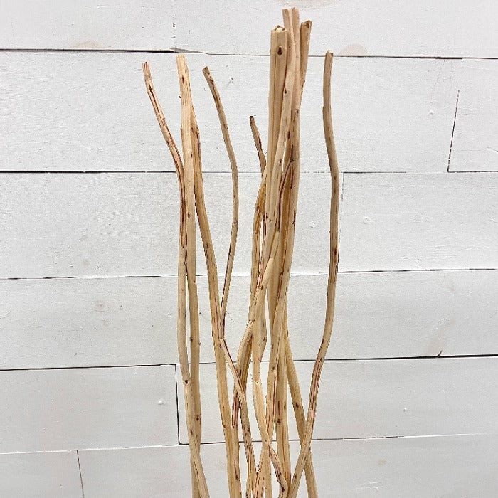 Bundle of Natural Kambooi Branches Sunshine & Sweet Peas Coastal Decor