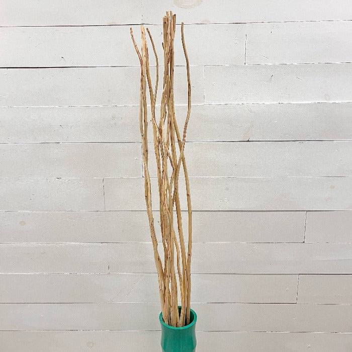 Bundle of Natural Kambooi Branches Sunshine & Sweet Peas Coastal Decor