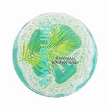 Maui Soap Co. Loofah Soap w/ Sea Salt & Kukui Oil