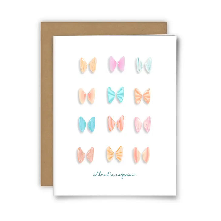 Atlantic Coquina Shell Card