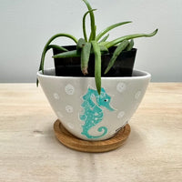 Assorted Coastal Inspired Succulent Planters - Sunshine & Sweet Pea's Coastal Decor