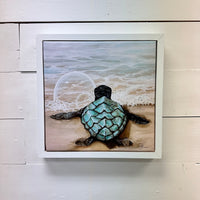 Assorted Sea Turtle Prints
