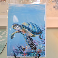 Assorted 5x7 Original Art Print Greeting Cards- Sea Turtles