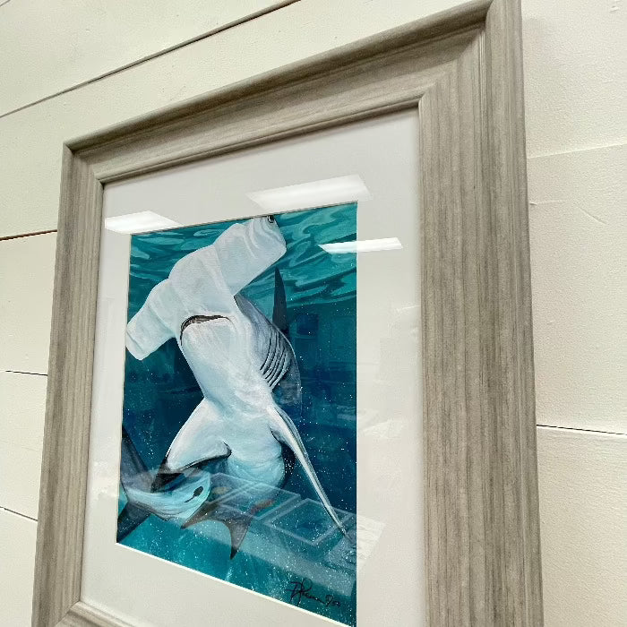 Framed Hammerhead Shark Print - Sunshine & Sweet Pea's Coastal Decor