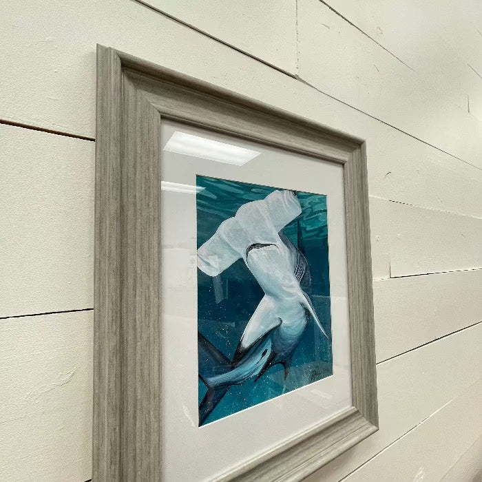 Framed Hammerhead Shark Print - Sunshine & Sweet Pea's Coastal Decor