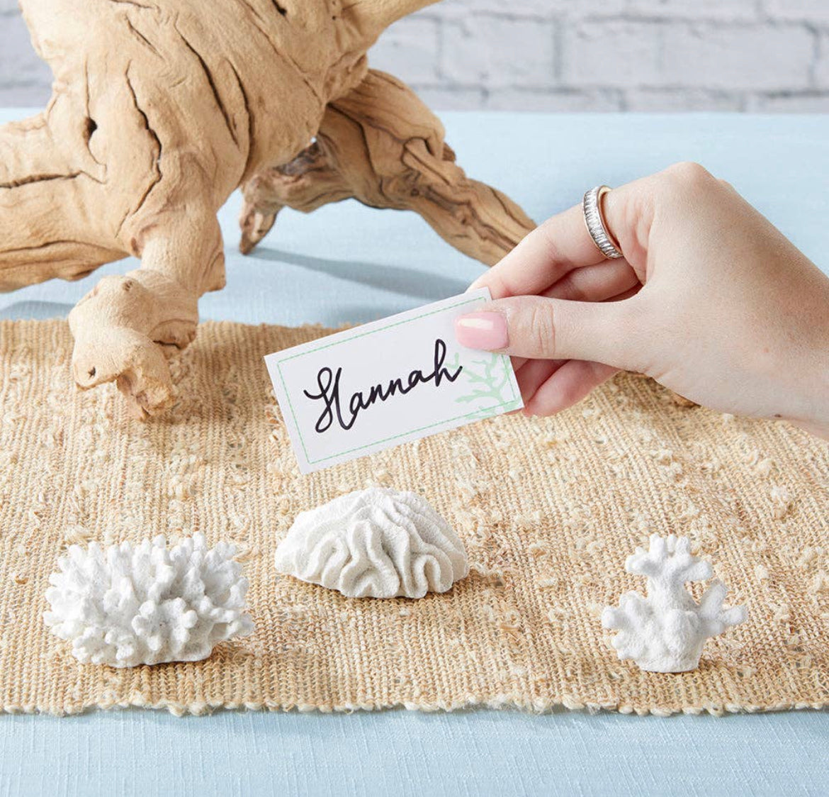 Seven Seas Coral Place Card/Photo Holder (set of 6)