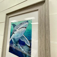Framed Great White Shark Print - Sunshine & Sweet Pea's Coastal Decor