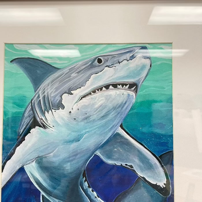 Framed Great White Shark Print - Sunshine & Sweet Pea's Coastal Decor